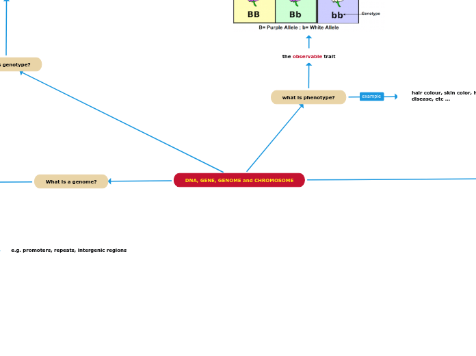 Week 2 - Molecular Biology Part 1 (L51)