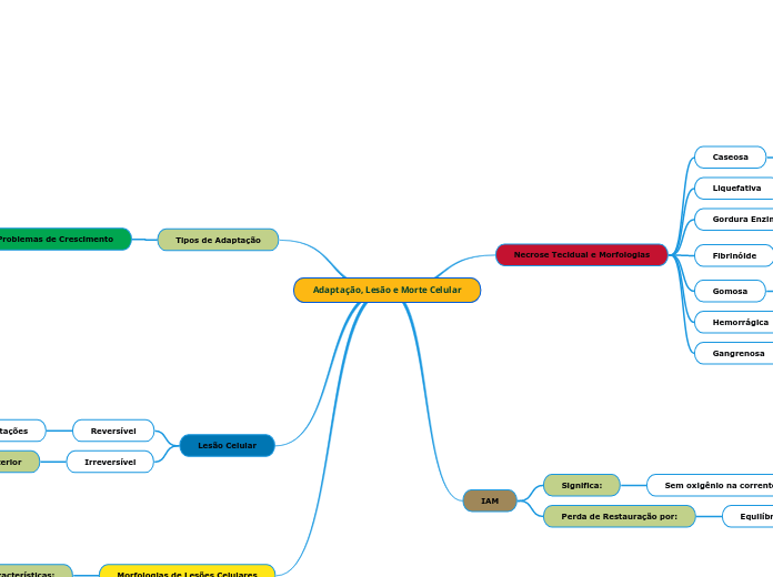 Adaptação, Lesão e Morte Celular