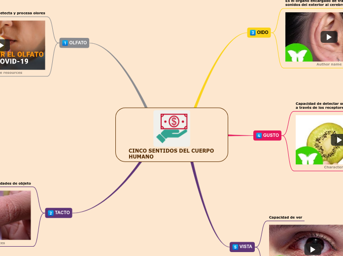CINCO SENTIDOS DEL CUERPO HUMANO