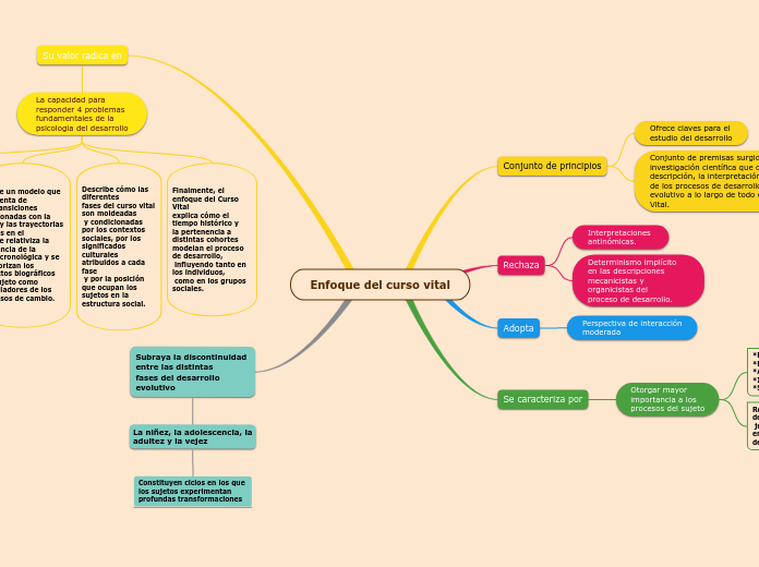 Enfoque del curso vital