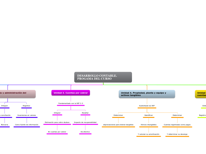 Mapa Conceptual del programa del curso