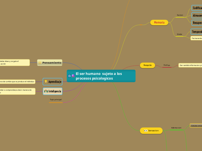 El ser humano  sujeto a los procesos psicologicos