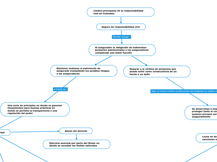 Límites principales de la responsabilidad                 civil en Colombia.