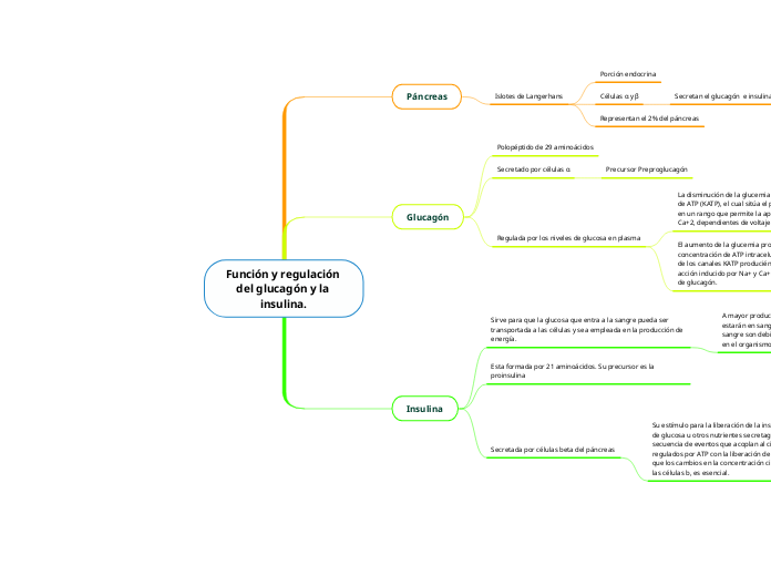 Función y regulación del glucagón y la insulina.