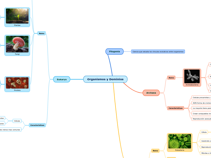 Organismos y Dominios