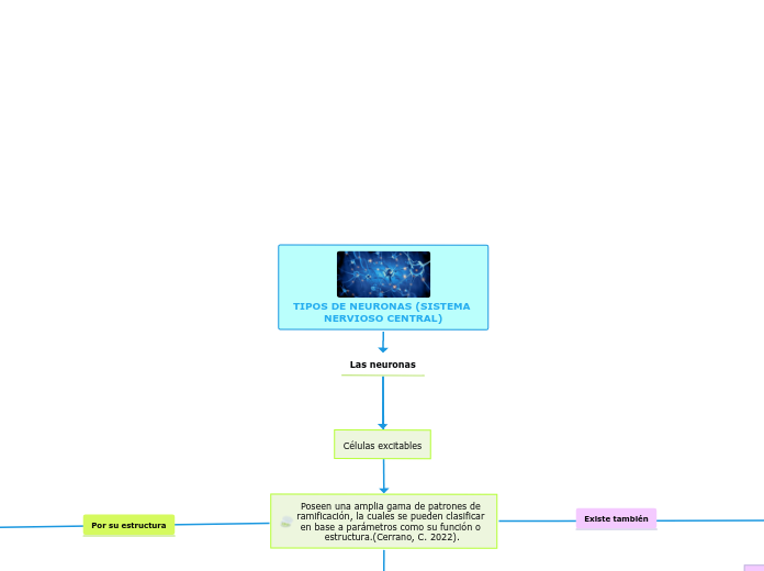 TIPOS DE NEURONAS (SISTEMA NERVIOSO CENTRAL)