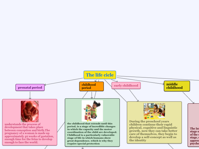 El Ciclo Vital