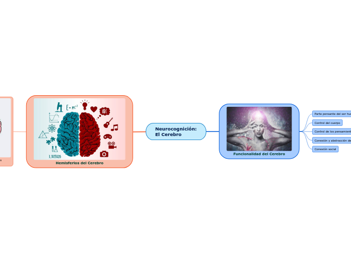 Neurocognición:
El Cerebro