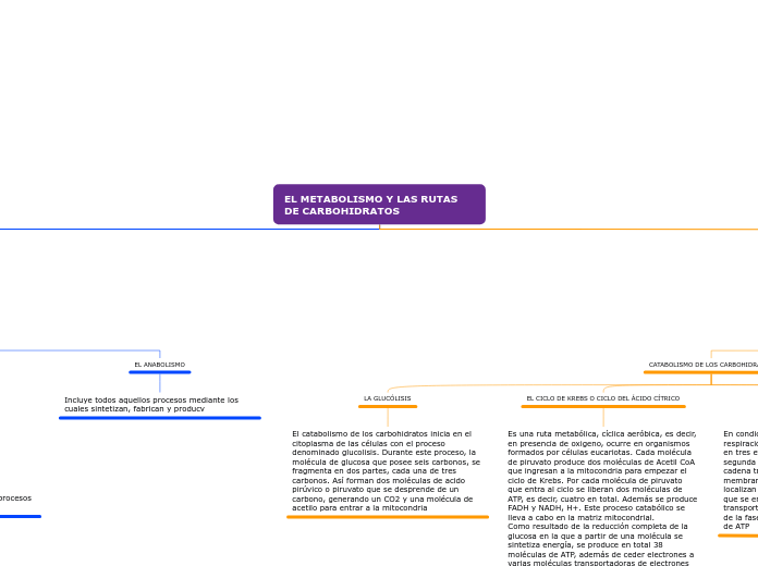 EL METABOLISMO Y LAS RUTAS            DE CARBOHIDRATOS