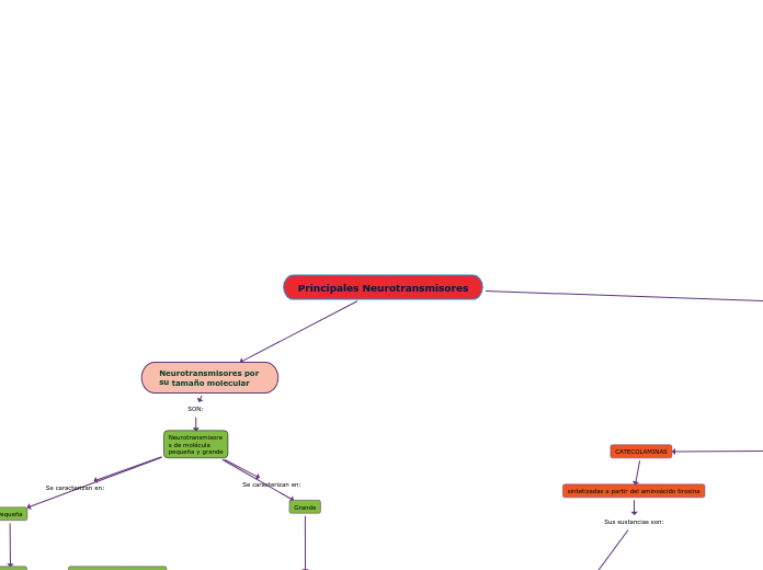Principales Neurotransmisores