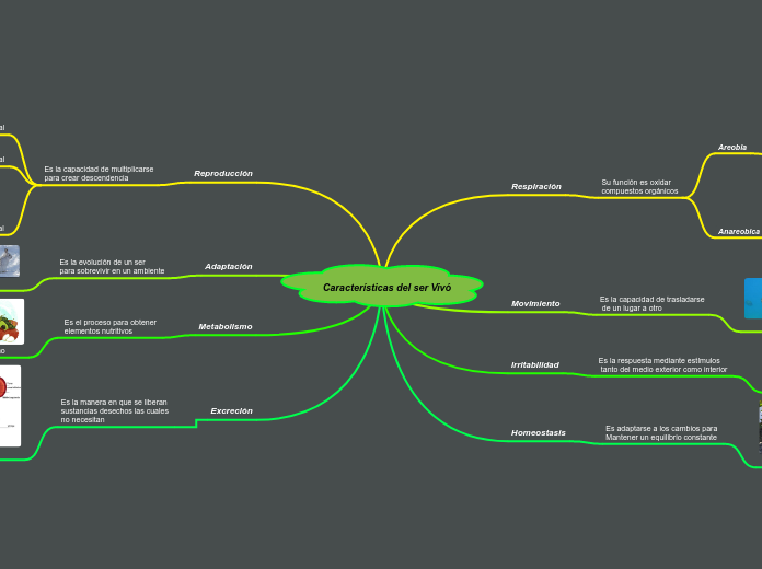 Características del ser Vivó