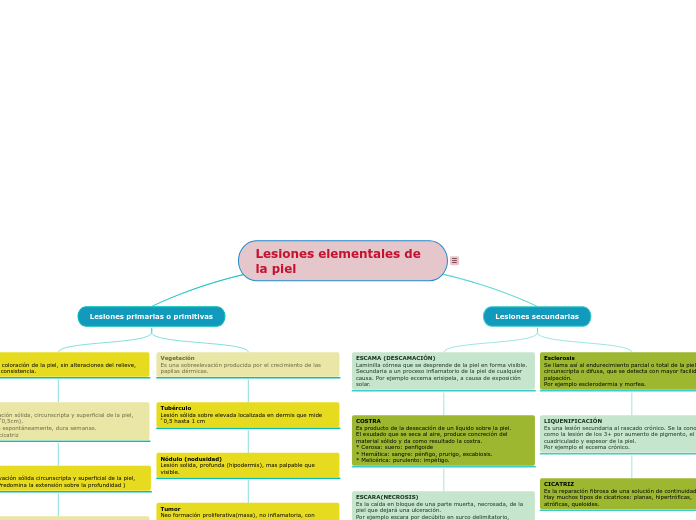 Lesiones elementales de la piel