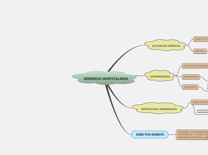 GERENCIA HOSPITALARIA