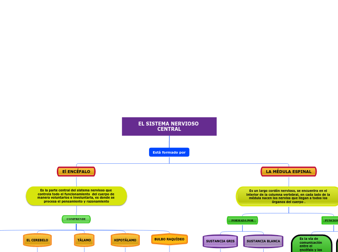 EL SISTEMA NERVIOSO CENTRAL