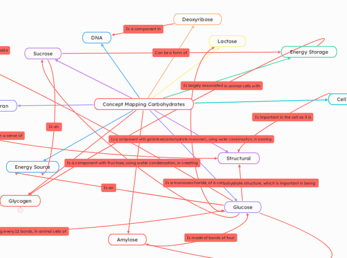 Concept Mapping Carbohydrates