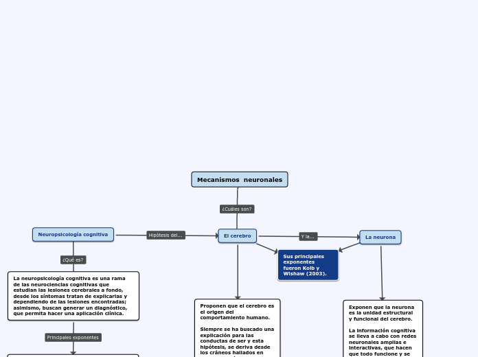 Mecanismos  neuronales