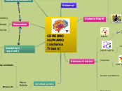 Cerebro humano