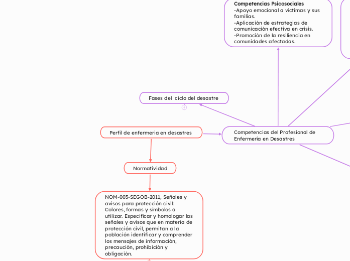 Perfil de enfermeria en desastres 