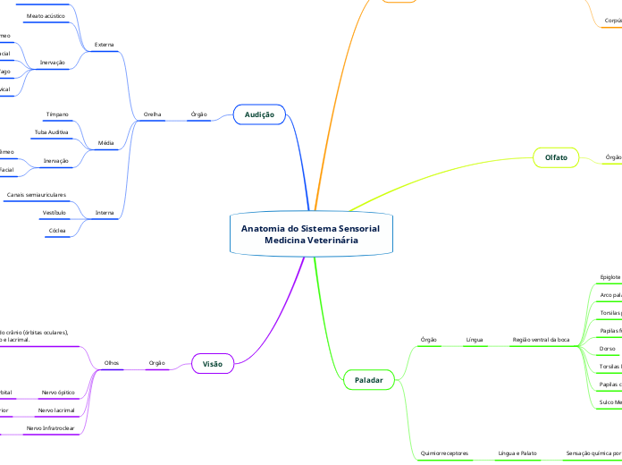 Anatomia do Sistema Sensorial Medicina Veterinária