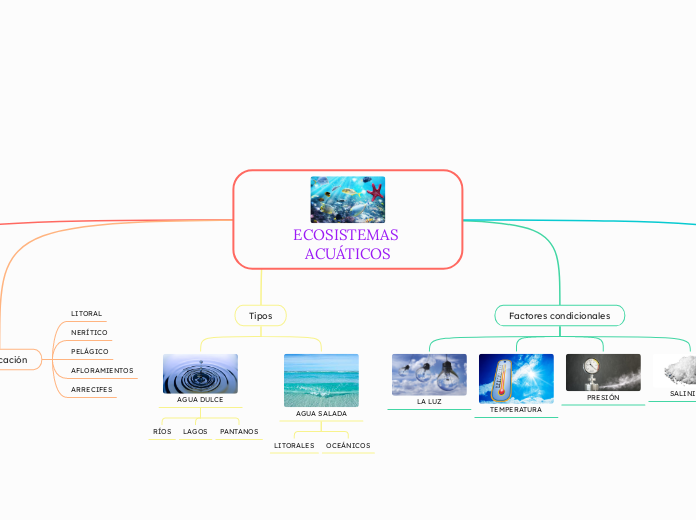 ECOSISTEMAS ACUÁTICOS