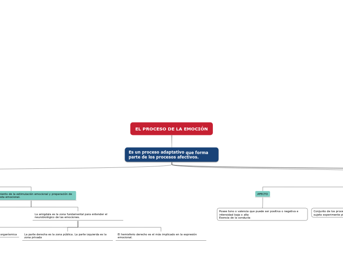 EL PROCESO DE LA EMOCIÓN