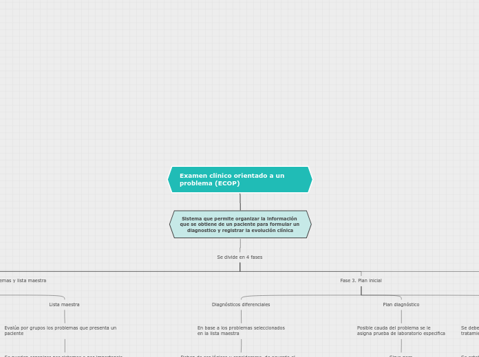 Examen clínico orientado a un problema (ECOP)