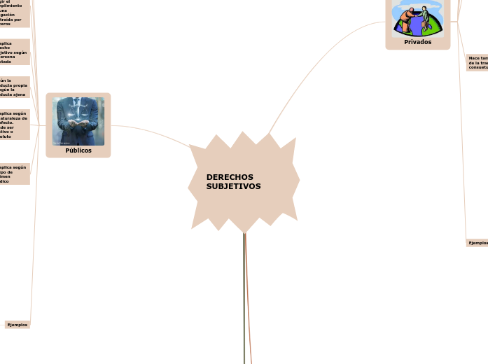 DERECHOS SUBJETIVOS