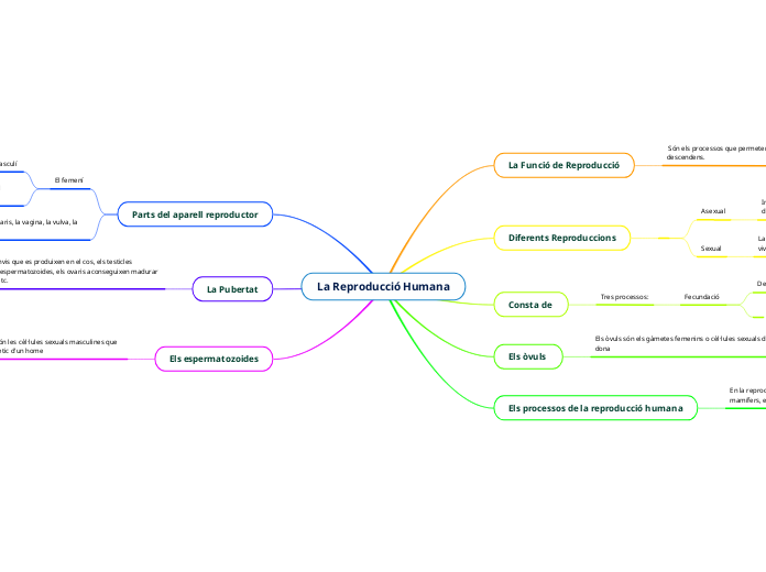 La Reproducció Humana
