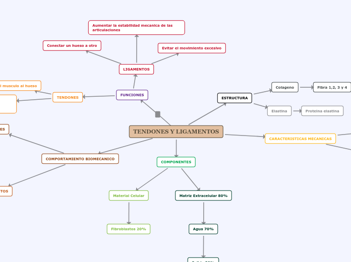TENDONES Y LIGAMENTOS Grupo 103