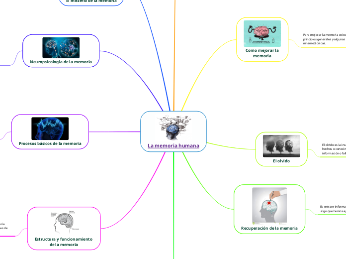 La memoria humana
