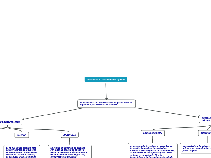 respiracion y transporte de oxigheno