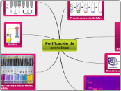 Purificación de proteinas