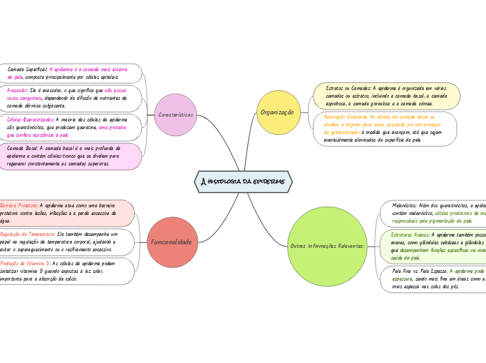 A histologia da epiderme