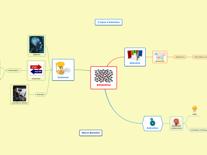 Les-trois-types-d-attention-Feuille  1