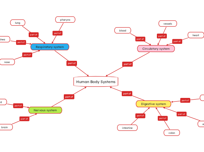 Human Body Systems