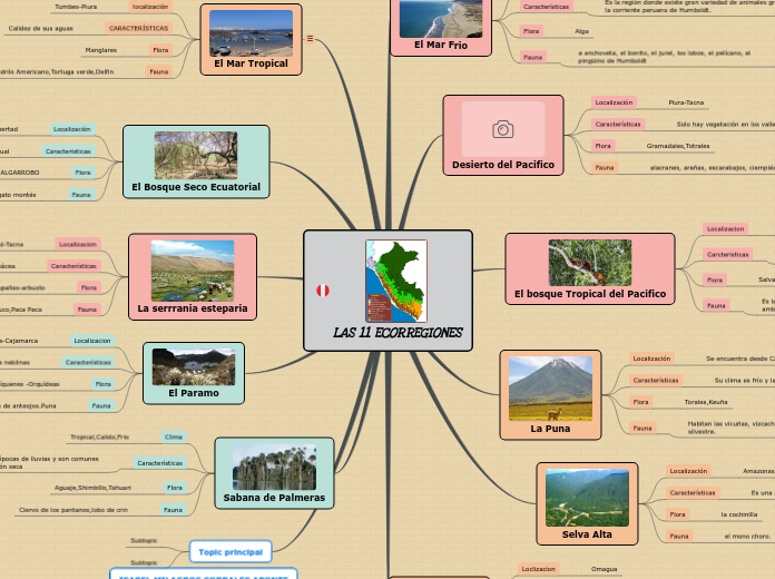 LAS 11 ECORREGIONES