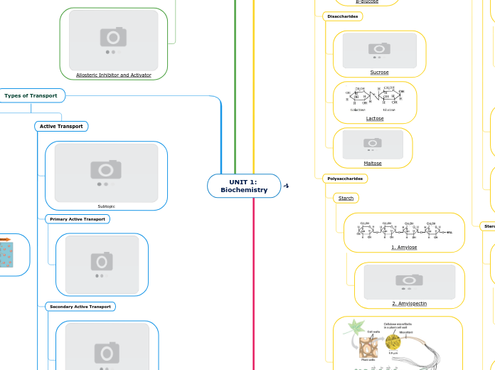 UNIT 1: Biochemistry