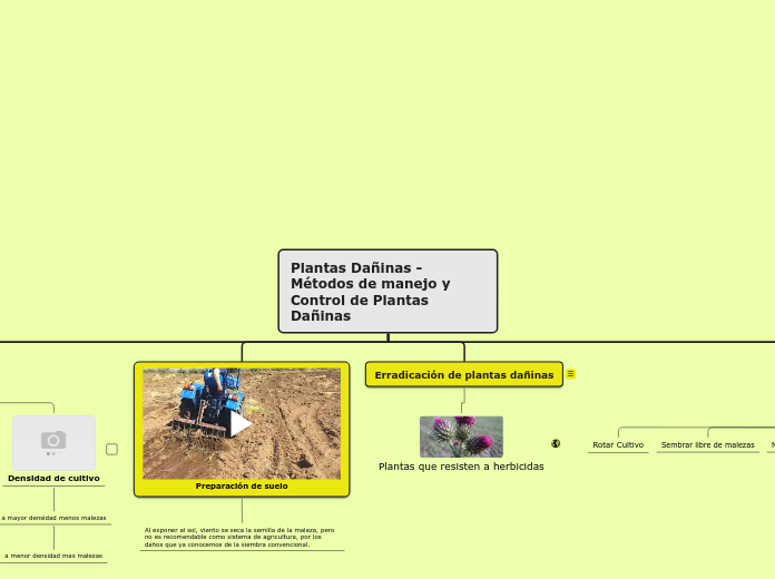 Plantas Dañinas - Métodos de manejo y Control de Plantas Dañinas