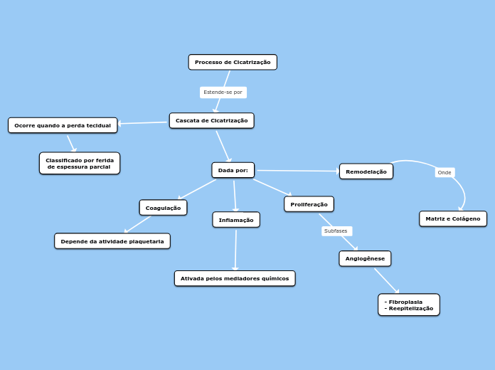 Processo de Cicatrização