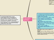 Sample Mind Map