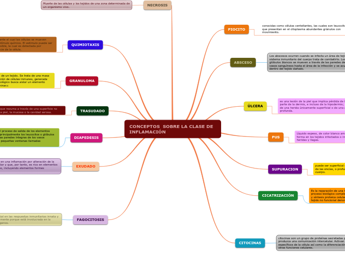 CONCEPTOS  SOBRE LA CLASE DE INFLAMACIÓN