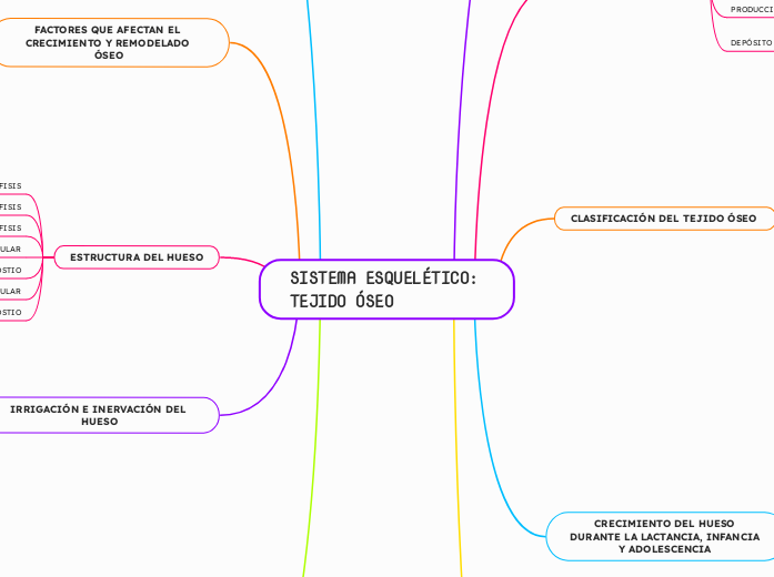 SISTEMA ESQUELÉTICO: TEJIDO ÓSEO