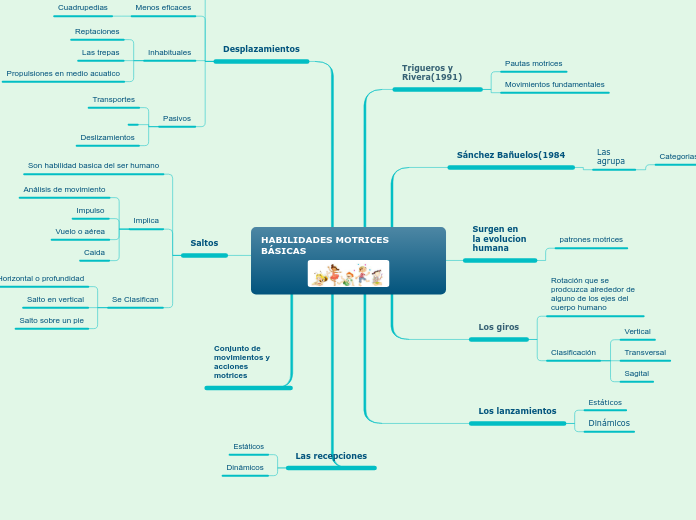 HABILIDADES MOTRICES BÁSICAS