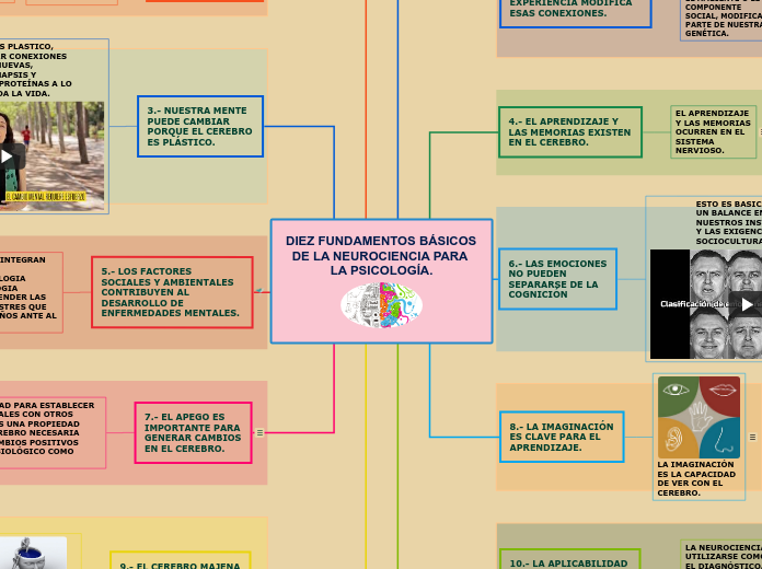 DIEZ FUNDAMENTOS BÁSICOS DE LA NEUROCIENCIA PARA LA PSICOLOGÍA.