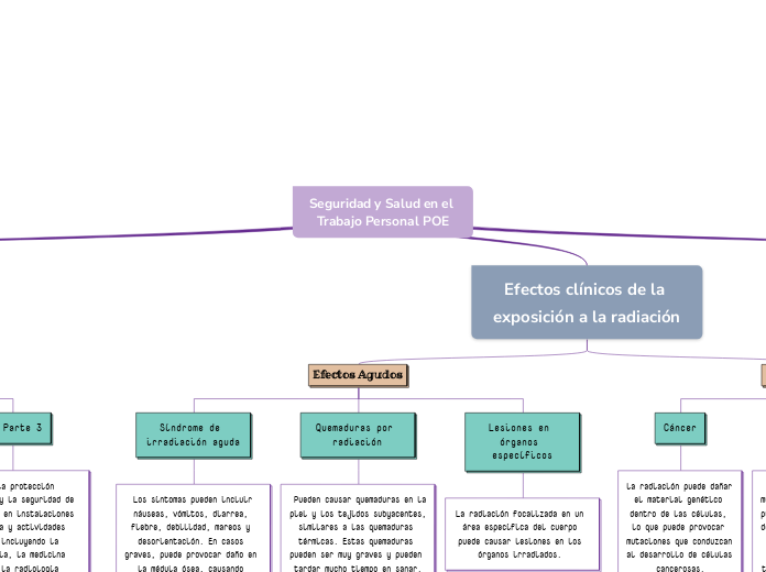 Seguridad y Salud en el Trabajo Personal POE