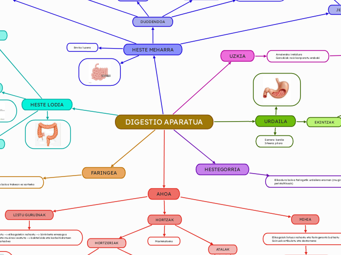 DIGESTIO APARATUA