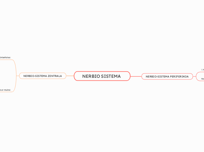 NERBIO SISTEMA 