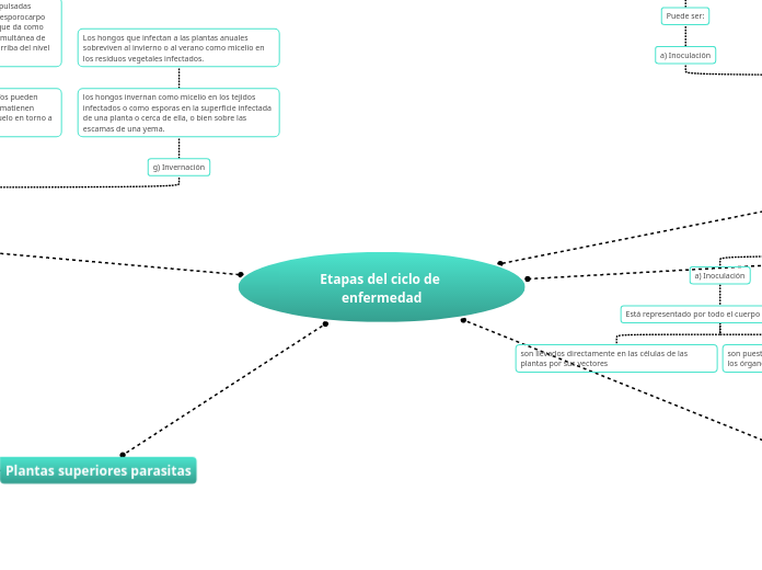 Etapas del ciclo de enfermedad