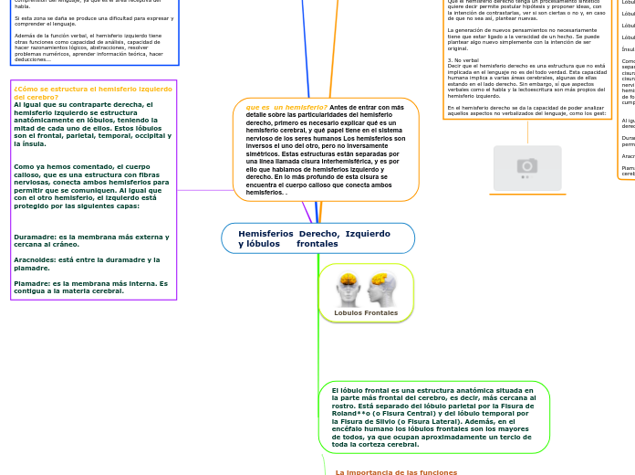 Hemisferios  Derecho,  Izquierdo y lóbulos      frontales