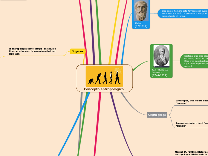 Concepto antropológico.